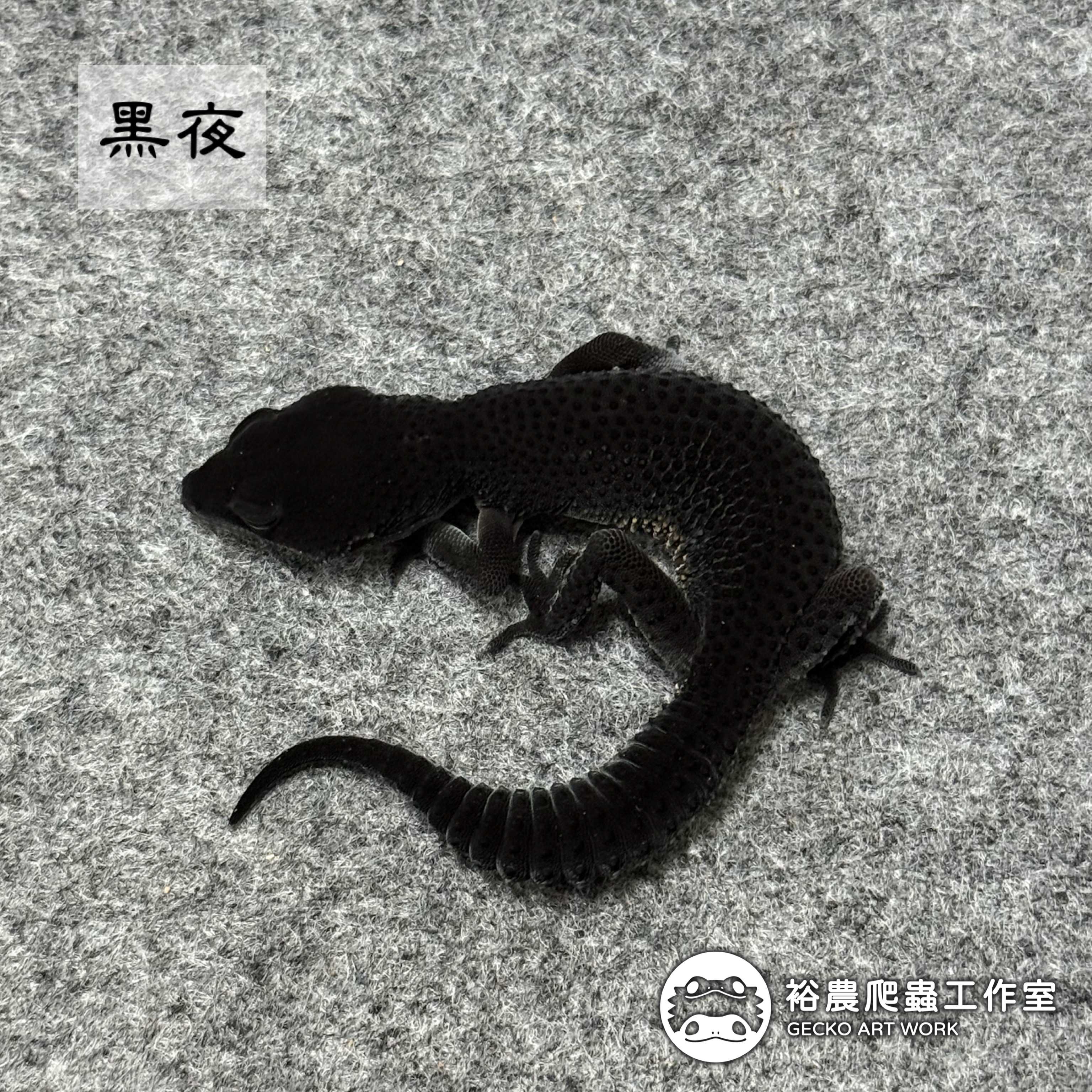 裕農爬蟲工作室